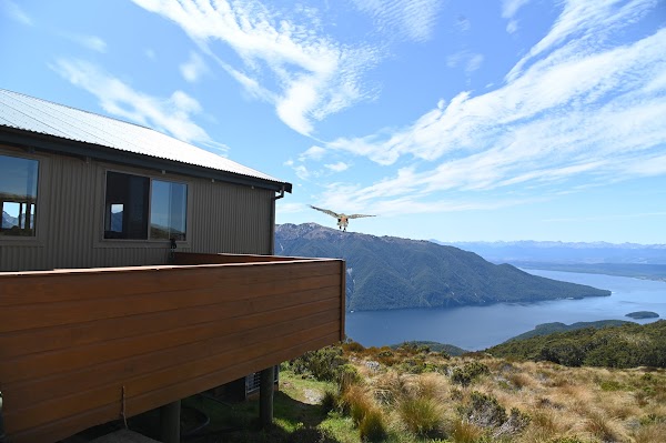 New Zealand