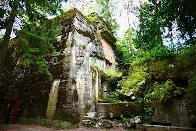 Wolf's Lair