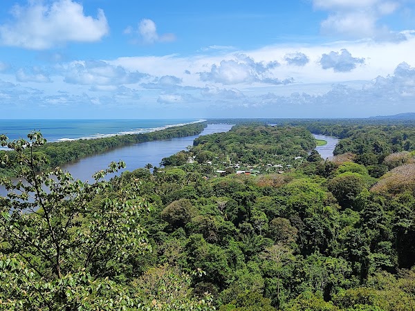Parque Nacional Tortuguero 5