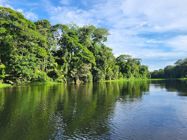 Parque Nacional Tortuguero 4