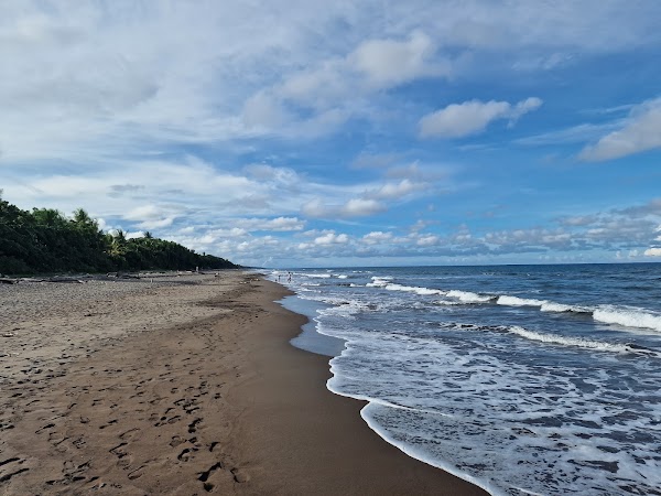 Parque Nacional Tortuguero 3