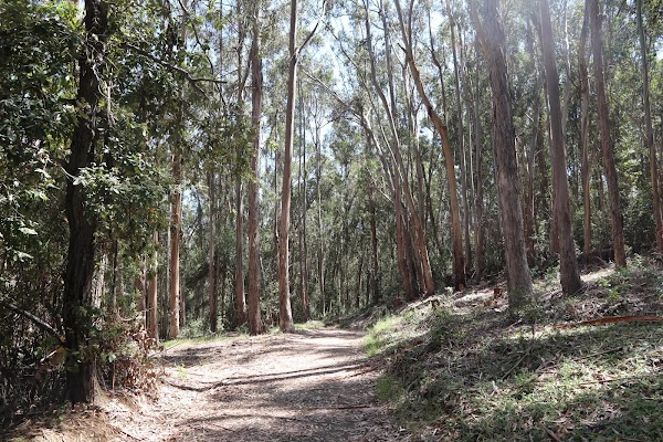 Wunderlich County Park 1