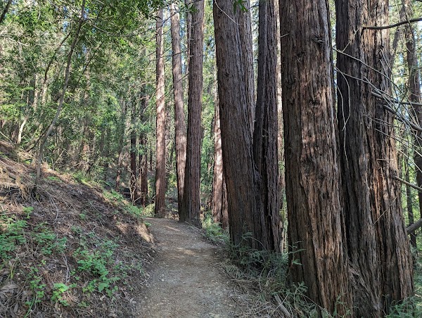 Wunderlich County Park 5