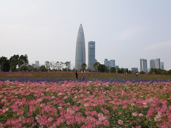 Shenzhen Bay Park Liuhuashan