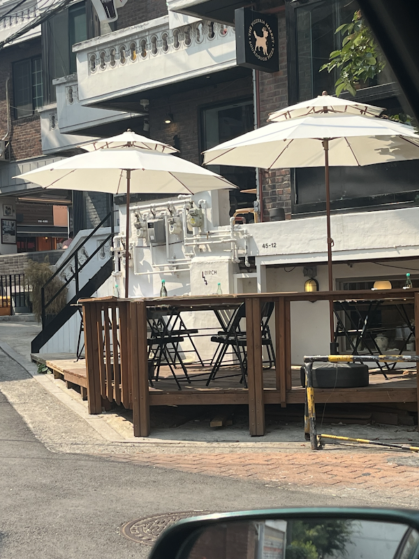 birch seoul 1