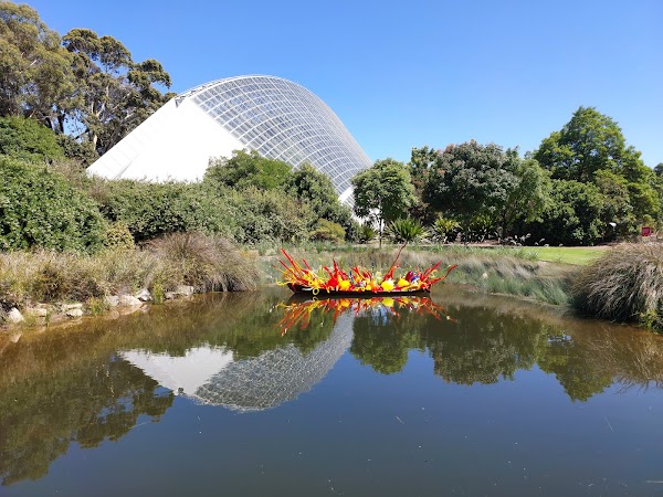 Adelaide Botanic Garden 5
