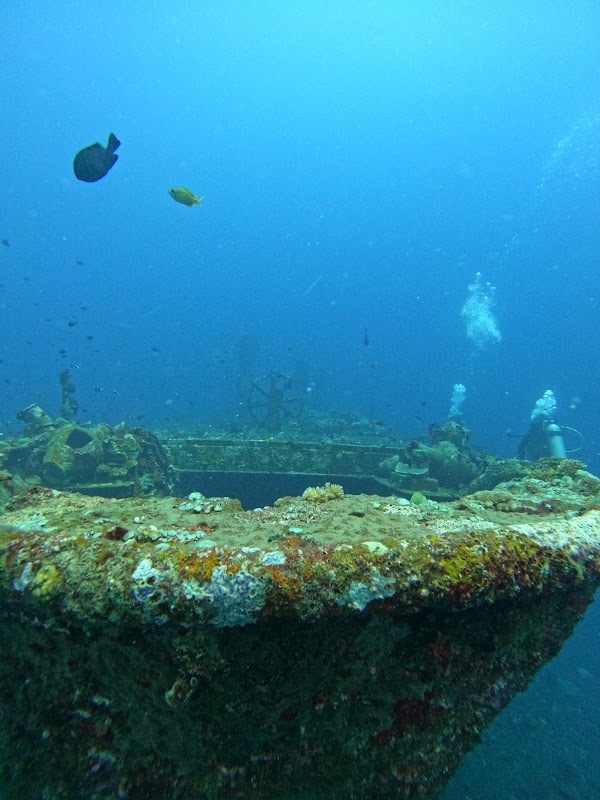 Boga Wreck 1
