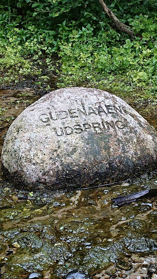 Gudenåens Udspring