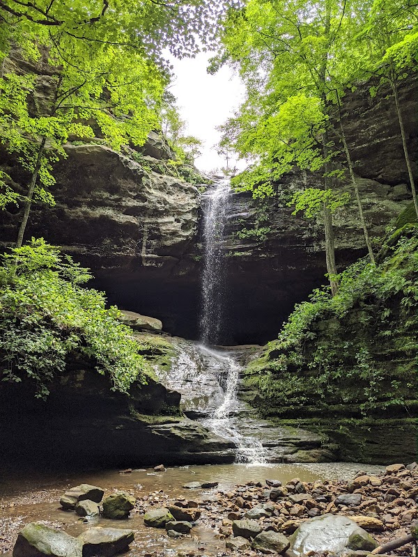 Ferne Clyffe State Park