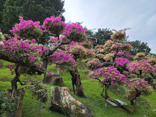 Chi Lin Nunnery 2