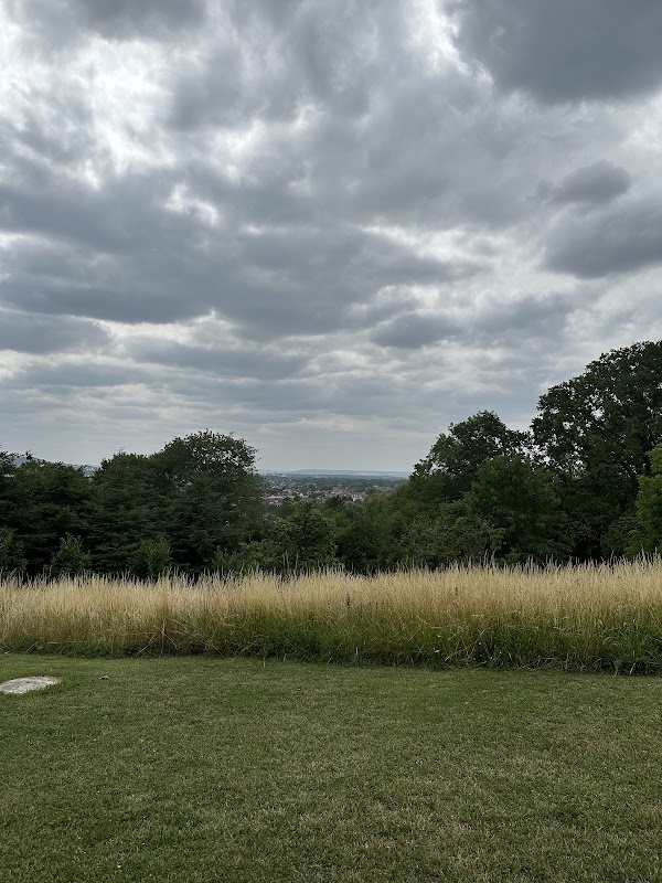 La Clairière de la reine Hortense 1