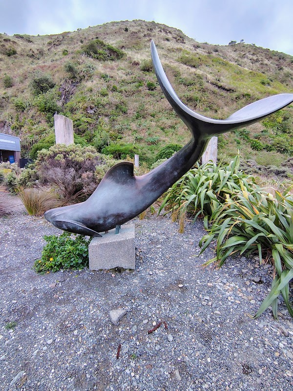 Te Kopahou Visitor Centre 5