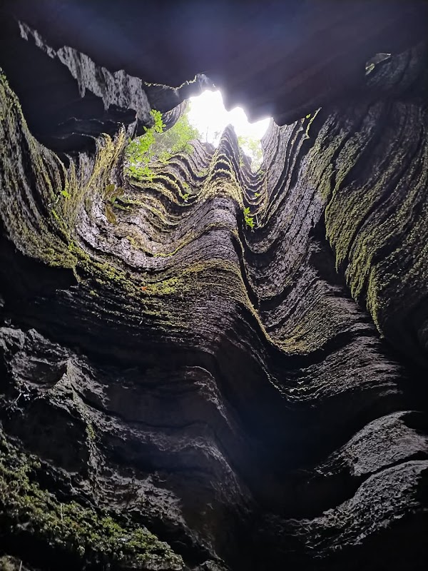 Suobuya Stone Forest Scenic Area 4