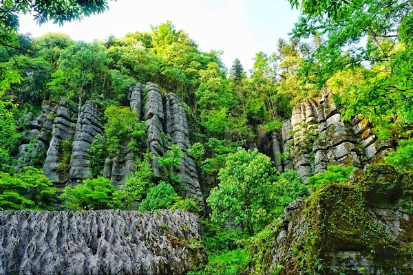Suobuya Stone Forest Scenic Area 3