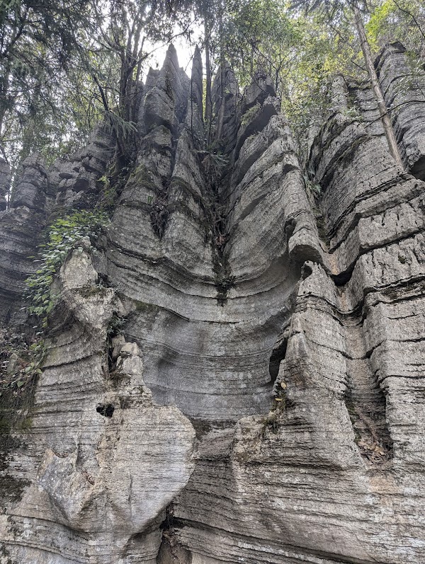 Suobuya Stone Forest Scenic Area 2