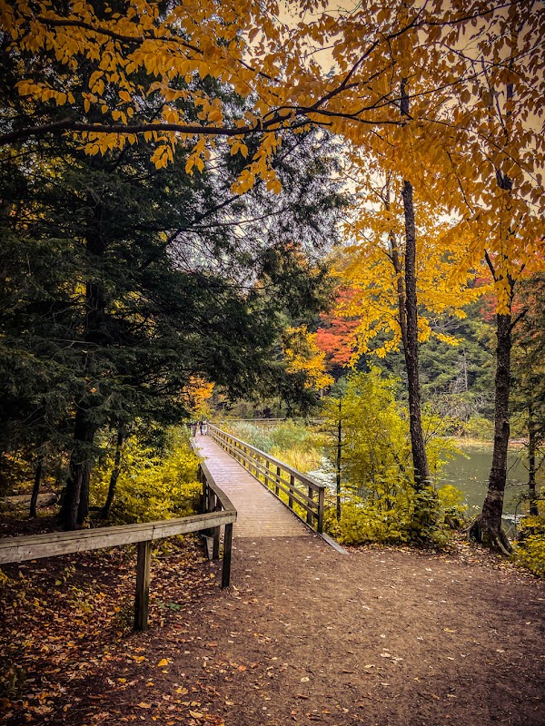 Huron Natural Area 4