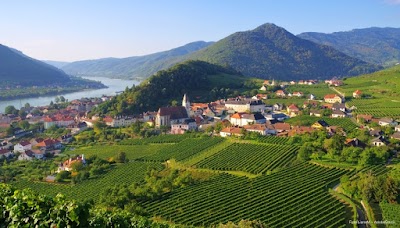 Wachau 1