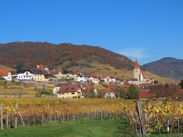 Wachau 5