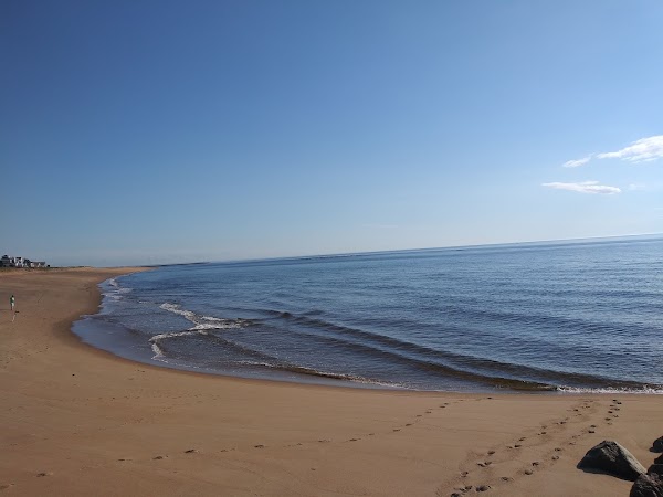 Plum Island