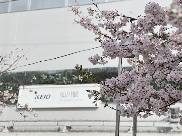 Sengawa Station 4