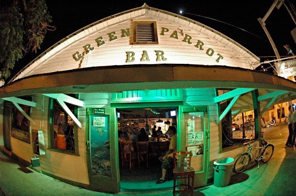 Green Parrot Bar 1