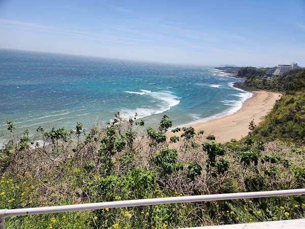 Cafe Ocean 3