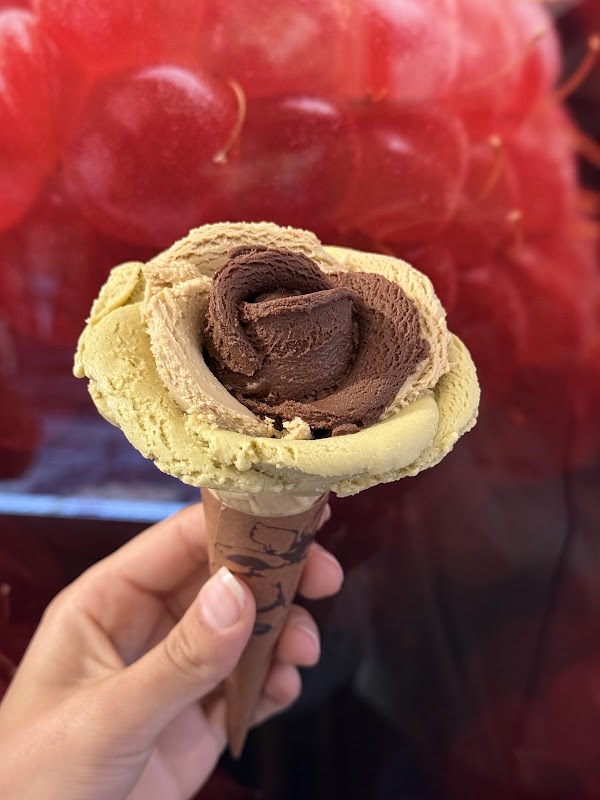 Amorino Gelato - Roma Trevi 3