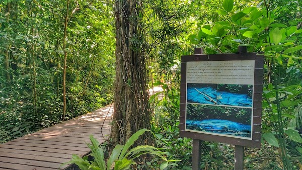Blue Pool Krabi Thailand 2
