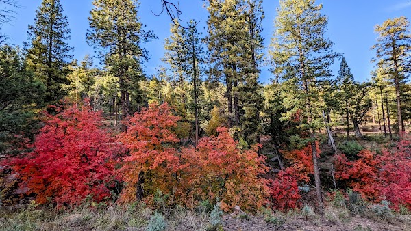 See Canyon Trailhead
