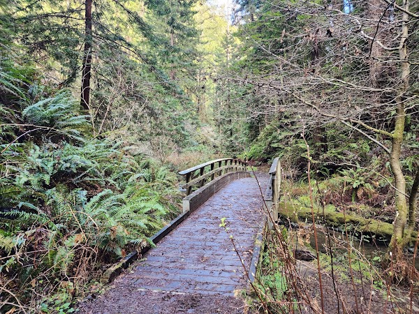 Van Damme State Park