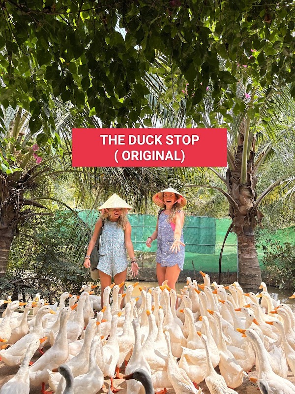 The Duck Stop