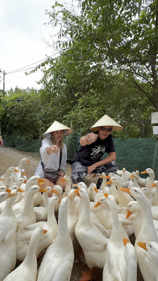 The Duck Stop 5