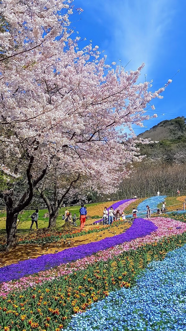 Hinoyama Park 1