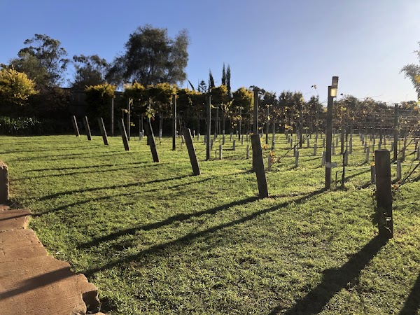 Witches Falls Winery 4