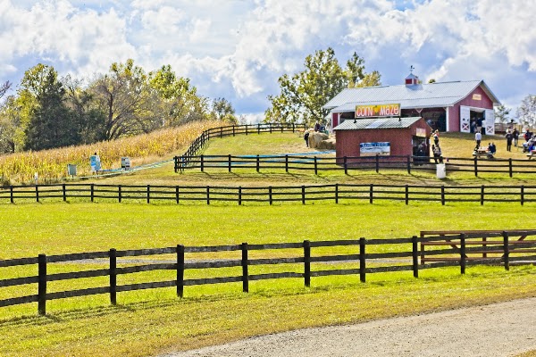 Montpelier Farms 5