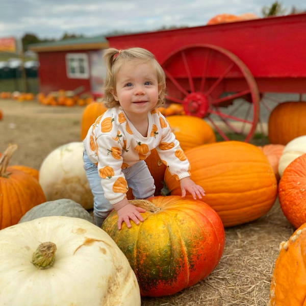 Montpelier Farms 3