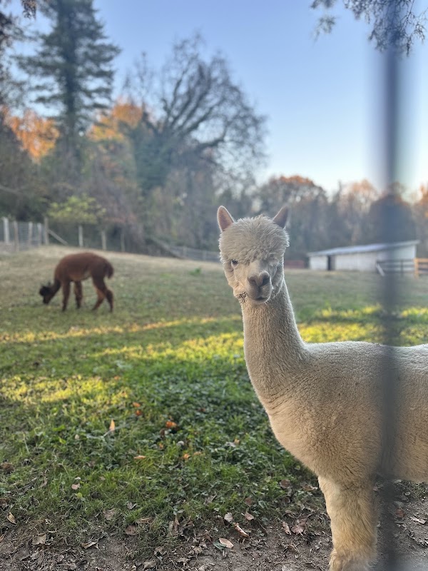 Montpelier Farms 2