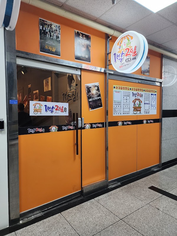 Cherry Blossom 🌸 19