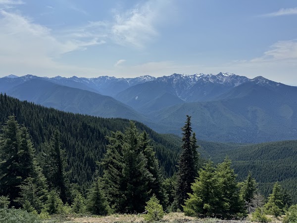 Hurricane Ridge 5