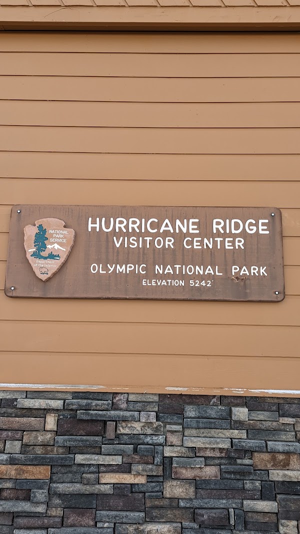 Hurricane Ridge 4