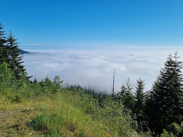Hurricane Ridge 3