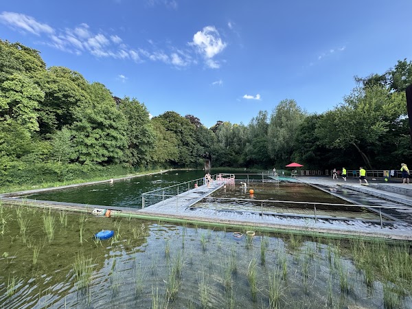 Zwemvijver Boekenberg 1