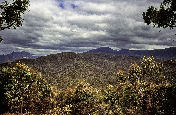 Foggs Lookout 2