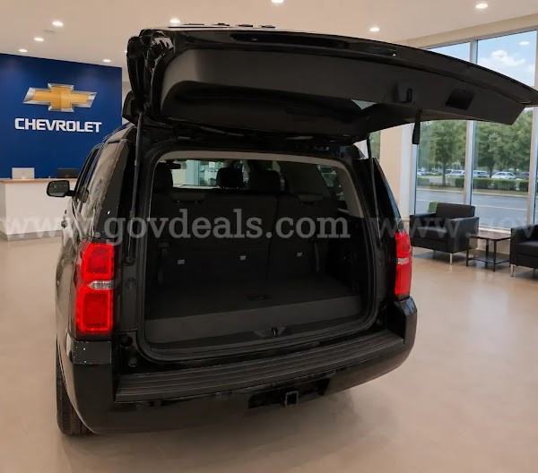 GovDeals 1