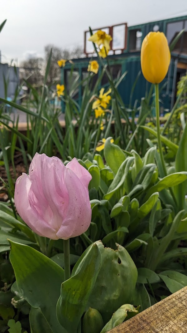 Railway Gardens 1