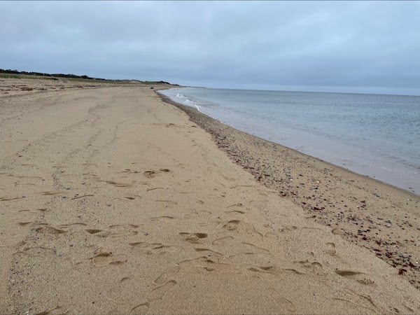 Herring Cove