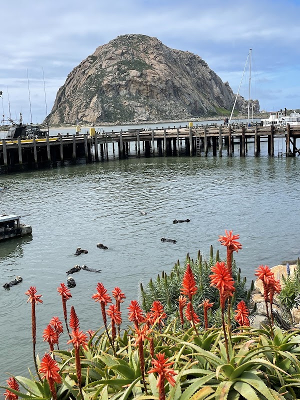 Morro Bay 4