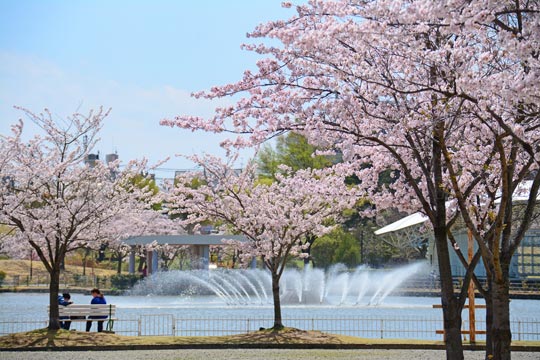 Koriyama 5