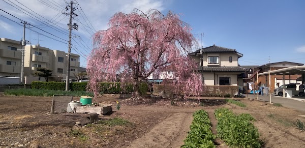 Koriyama 3