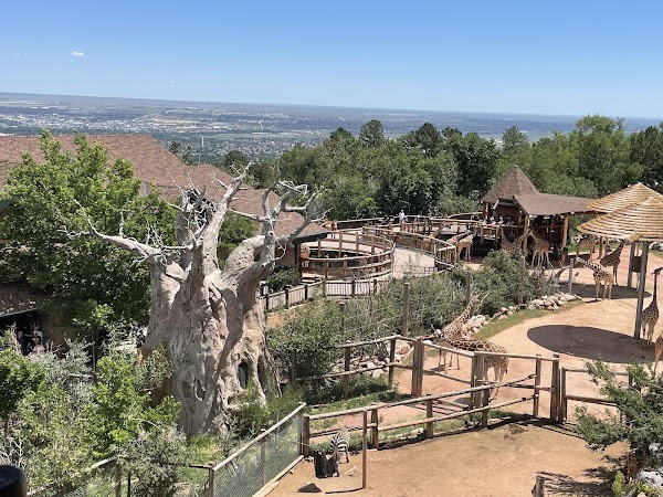 Cheyenne Mountain Zoo 5